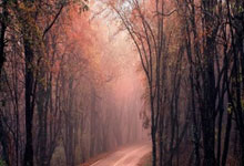 开云体育APP下载-加拿大碾压克罗地亚，苏亚雷斯制霸全场的简单介绍