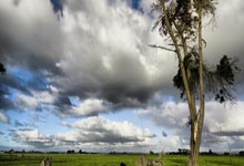 开云下载-黑马卓尔绊倒巨舰上港！争冠之路骤起波澜，中超格局暗流涌动