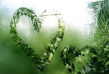 开云官网-蒙特雷备战细节频出，球队积极调整状态