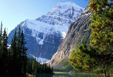 开云体育app-阿尔及利亚选手未能胜利，欧预赛前景渺茫