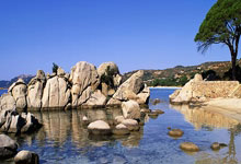 开云下载-黑马卓尔绊倒巨舰上港！争冠之路骤起波澜，中超格局暗流涌动