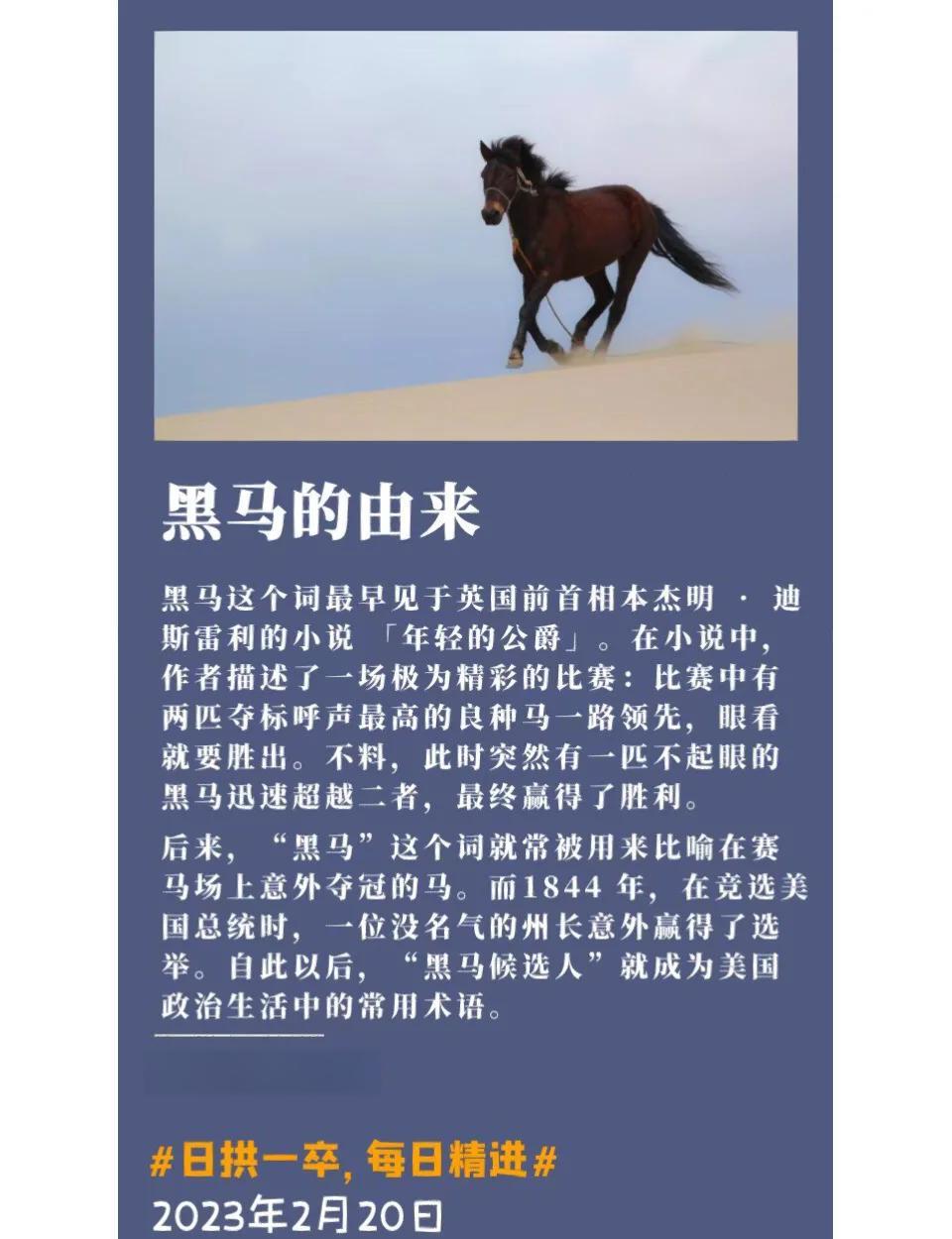 非洲足球风云再起,一支黑马横空出世的简单介绍 非洲足球风云再起,一支黑马横空出世的简单介绍