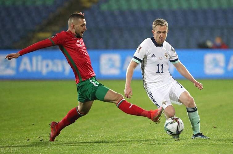 欧洲锦标赛小组赛,荷兰-大胜保加利亚的简单介绍 欧洲锦标赛小组赛,荷兰-大胜保加利亚的简单介绍