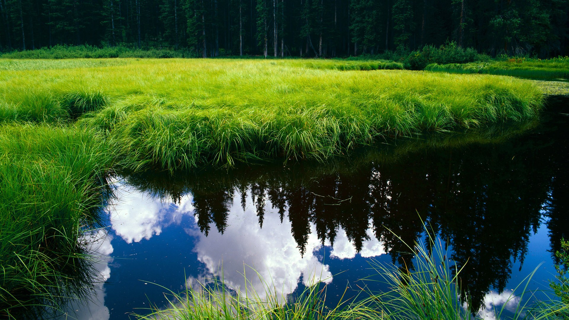 恩比德关键时刻定乾坤，火箭末节狂飙终结黄蜂