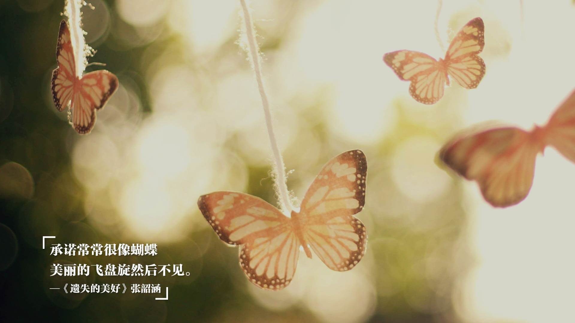 开云体育中国-绿茵与硬地的交响，当勇士的欧冠半决赛用战术意志粉碎黄蜂