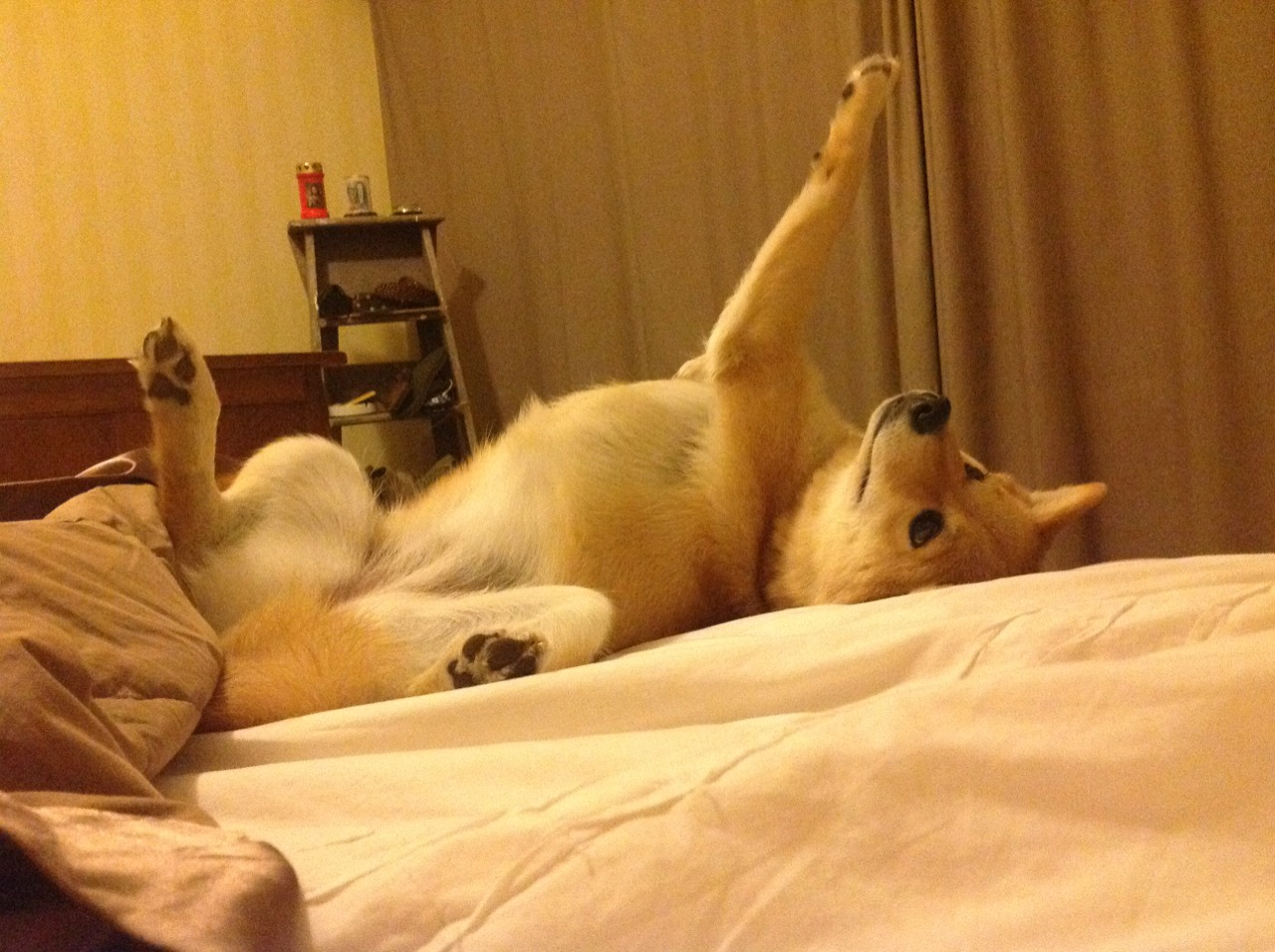 开云体育app-湖人火力全开压制吉林队，贝恩东决关键战接管比赛