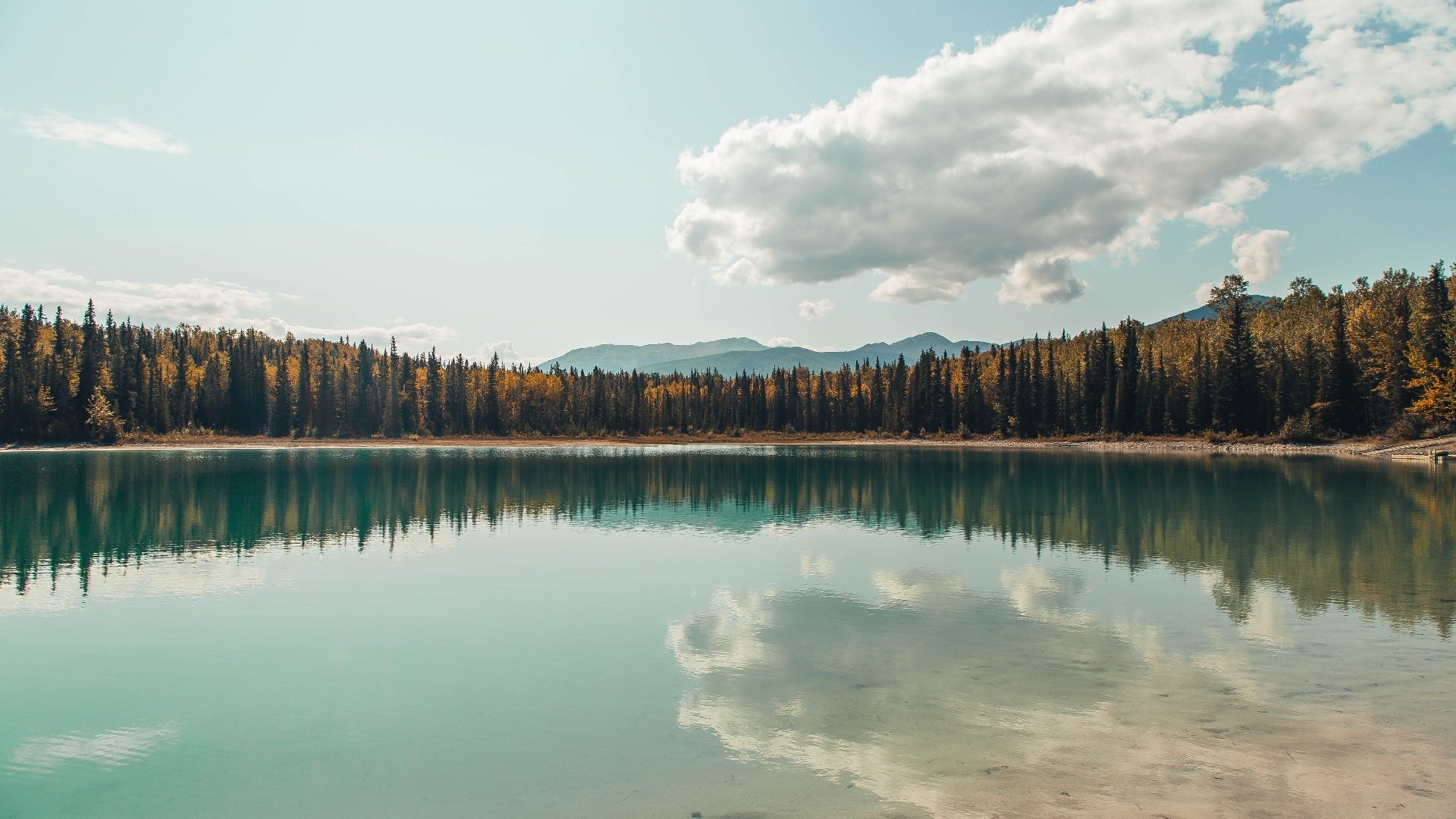 开云APP-欧冠淘汰赛之夜，坎特末节神奇接管，演绎中场大师的传奇