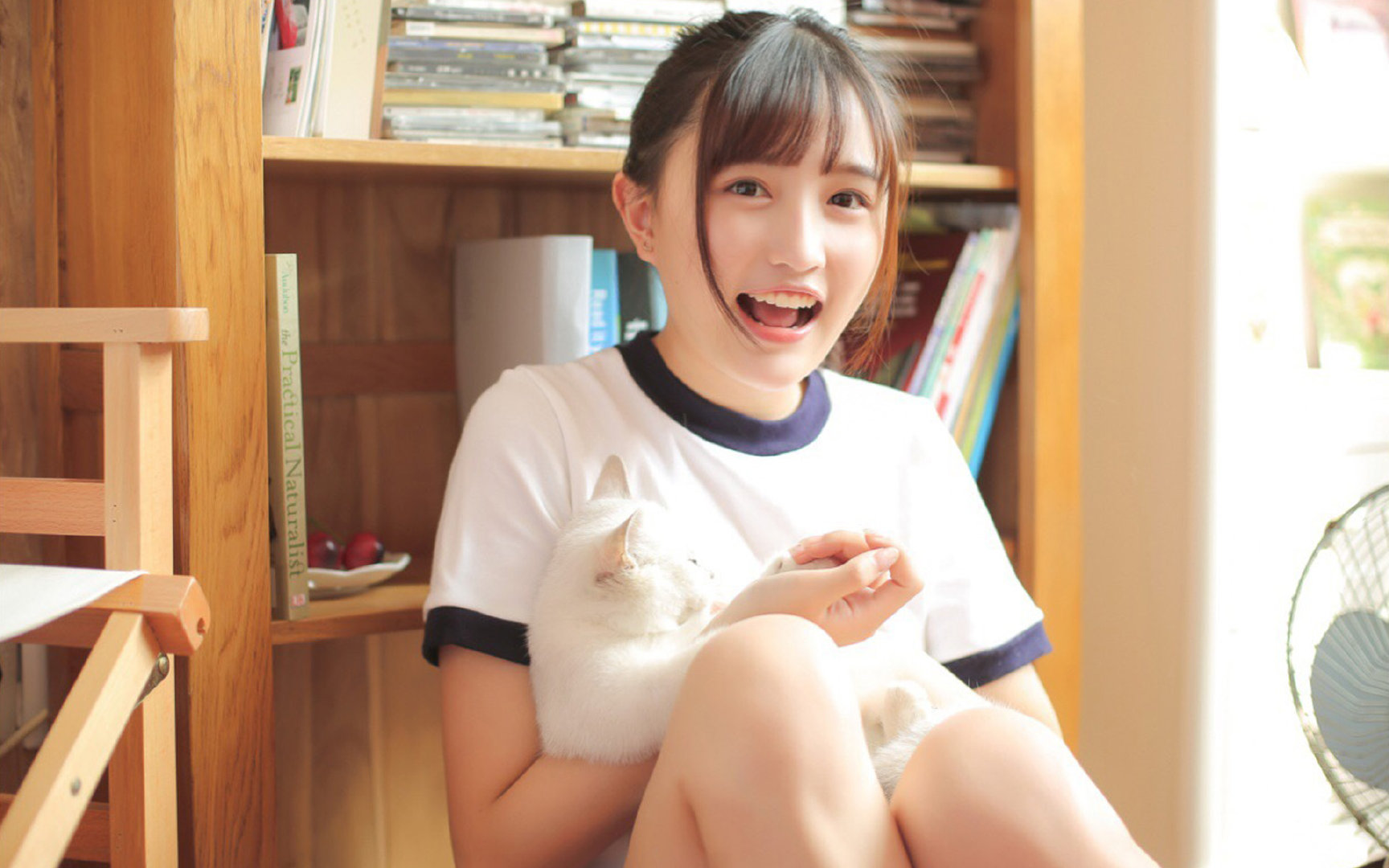 德甲争冠战焦点战与荷兰加时取胜日本，足球之夜的激情、悬念与全球共鸣