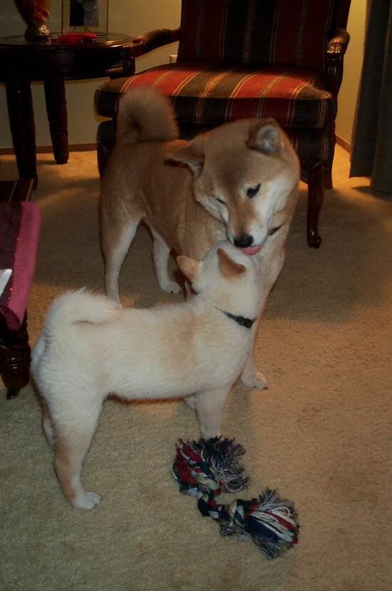 终场绝响，德布劳内在奥运周期关键战的冰与火之歌