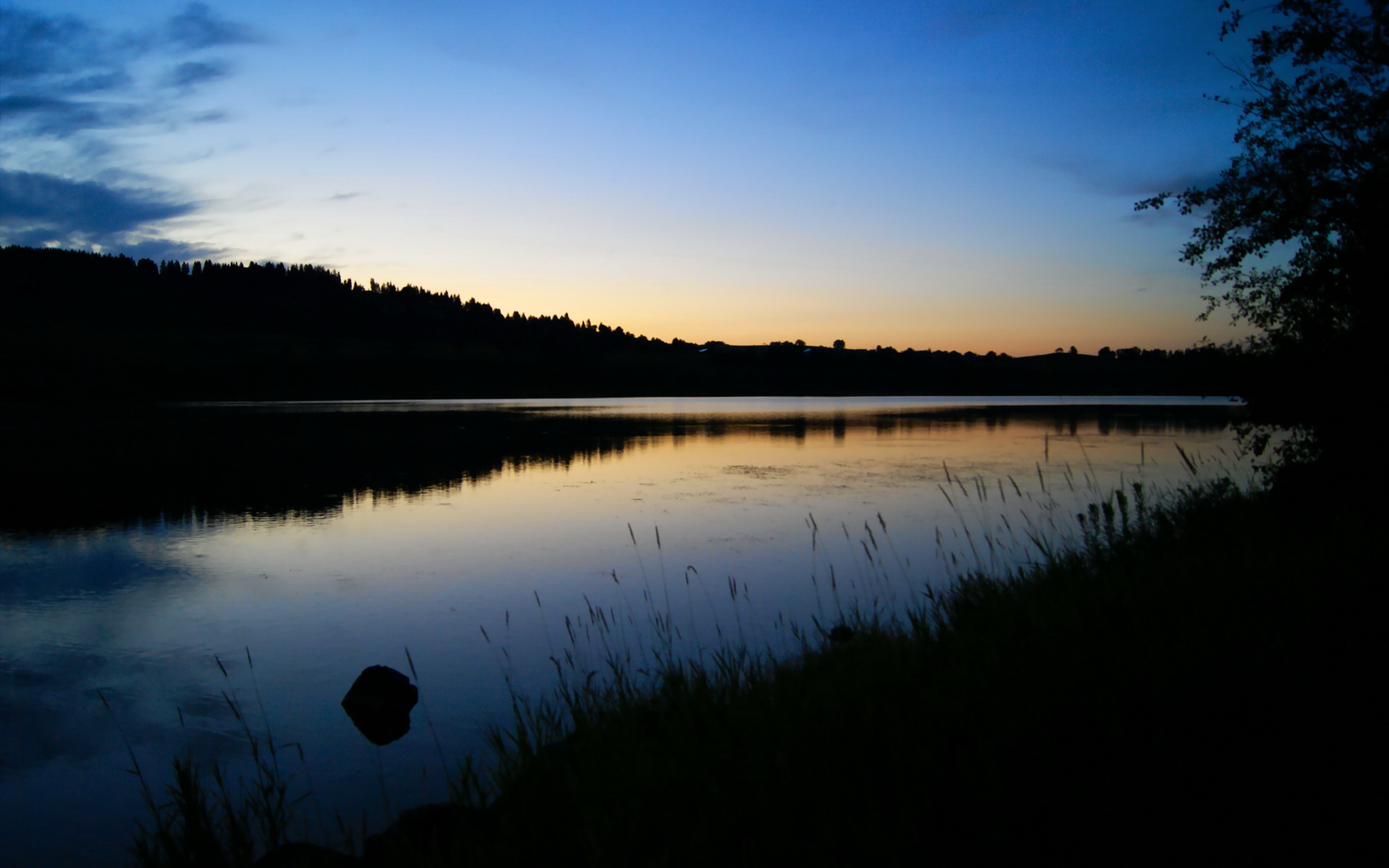 开云平台-赖斯连砍关键分！雷恩主场力擒苏格兰，奠定胜局