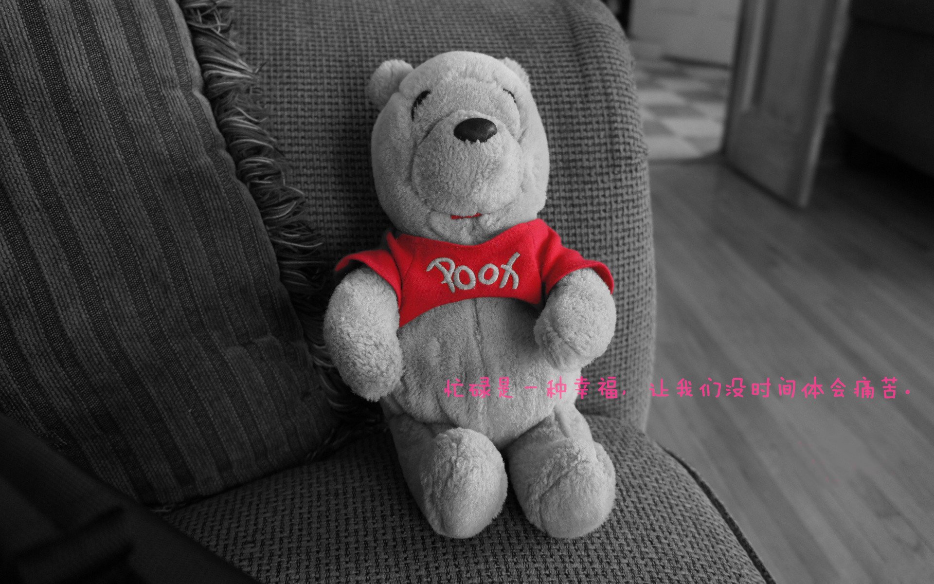 开云体育官方网站-龙腾于野，熊咆于渊