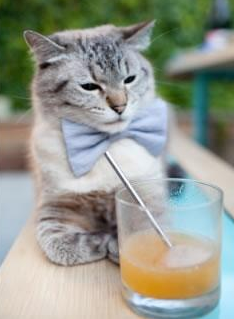 开云体育app-武神降临！奇才对阵山西队，武切维奇狂轰30+20赛后评分拉满