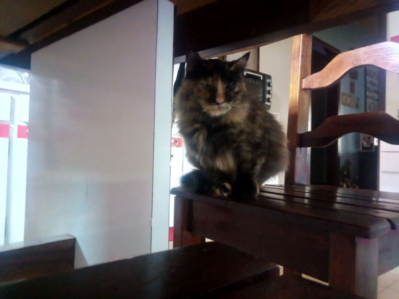 开云体育登录-西亚卡姆关键先生本色闪耀，马刺硬仗力克凯尔特人展韧性