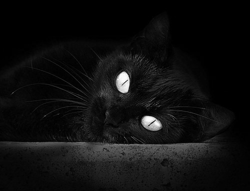 绿茵烽火与篮坛风云，西甲国家德比激战未歇，广东队轻取公牛再写传奇