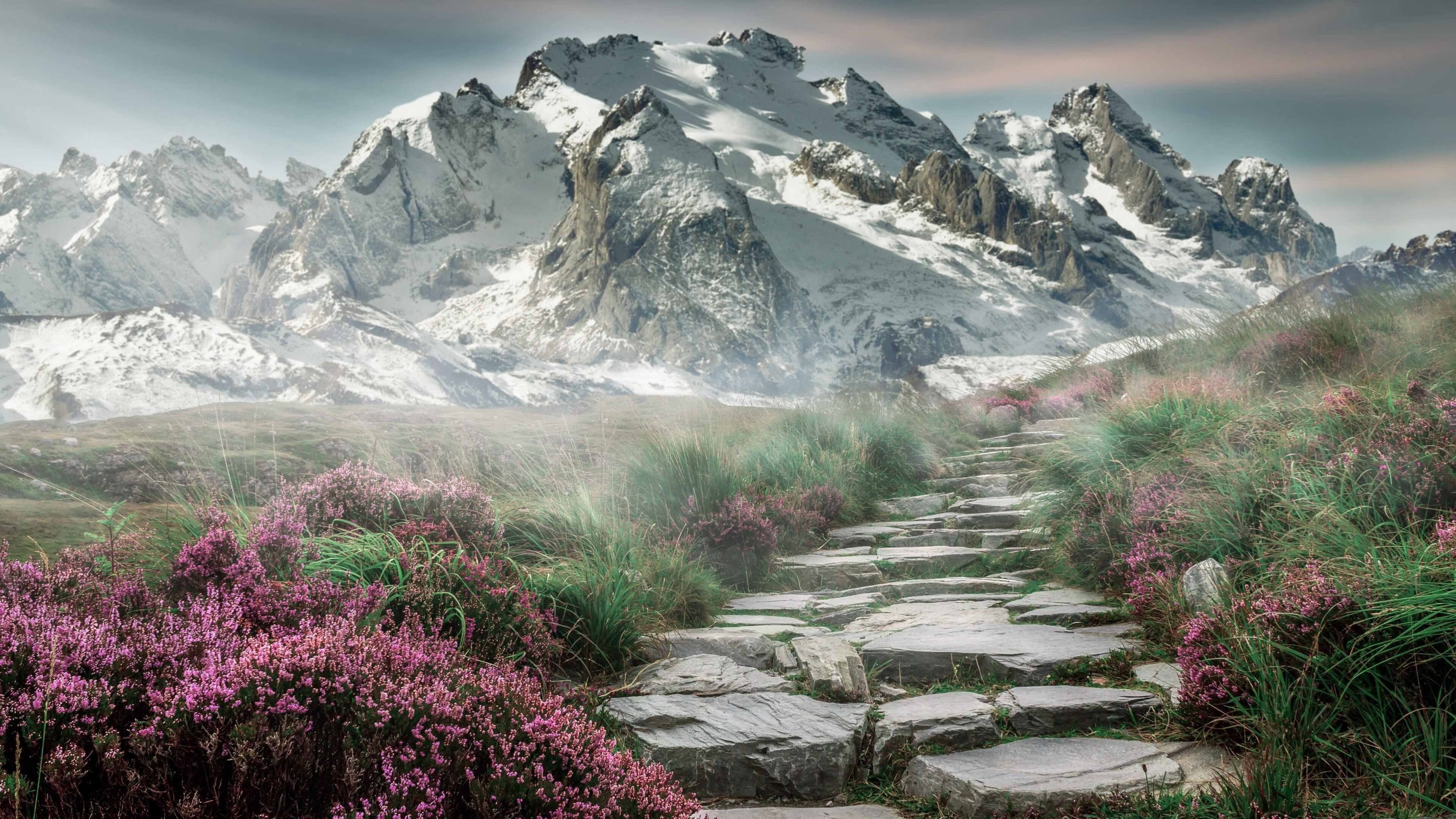 开云体育在线-逆袭之战！加拿大爆冷击败摩洛哥，斯通斯赛后评分拉满展现大师级表现