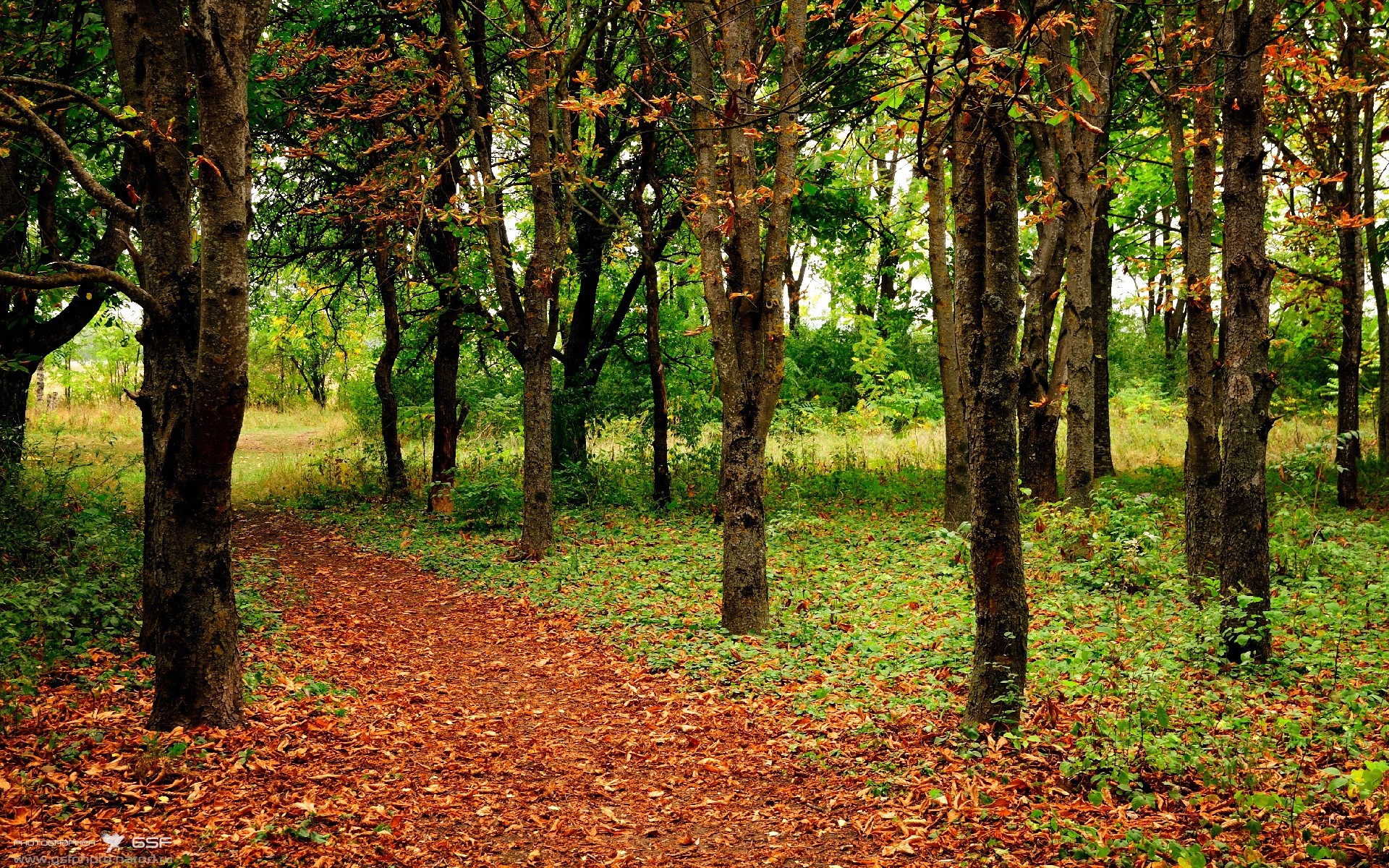 开云体育中国-东方力量VS德式重锤，当久保建英的里程碑照亮亚洲足球的星空