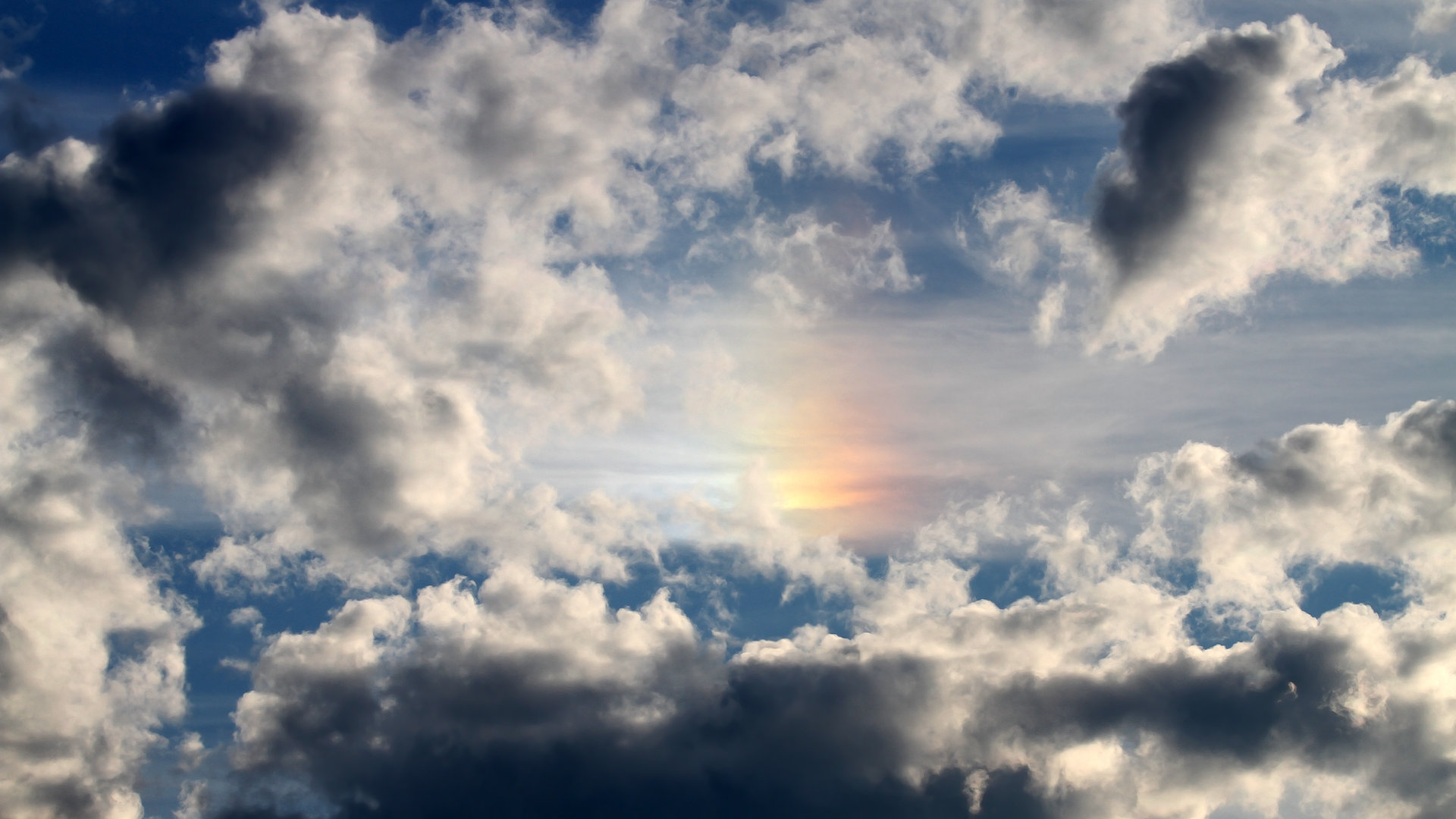 虚拟镜像，库里未现身却主导开拓者与广厦的每一寸空气